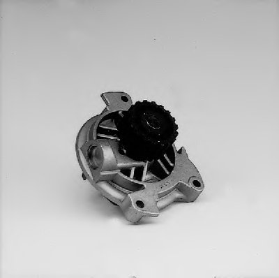 P536 HEPU
