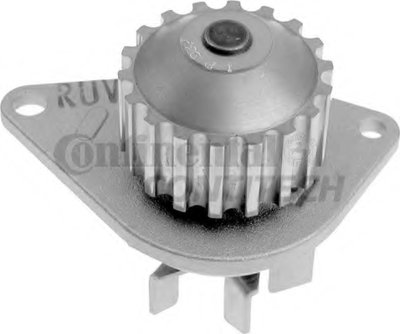 WP6079 CONTITECH