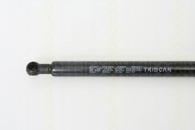 871043217 Triscan