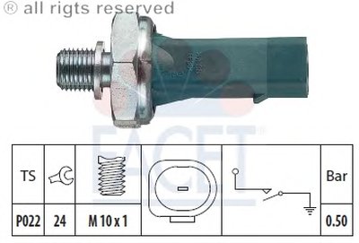 70139 FACET