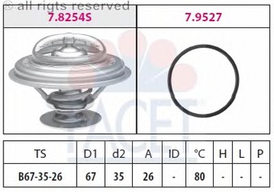 78254 FACET