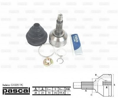 G10351PC PASCAL