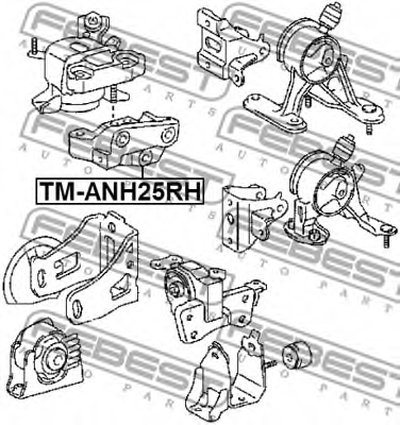 TMANH25RH FEBEST