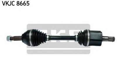 VKJC8665 SKF