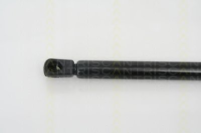 871024105 TRISCAN
