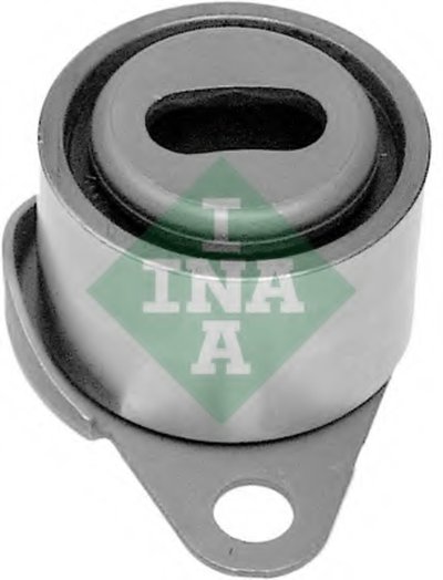 531006110 INA
