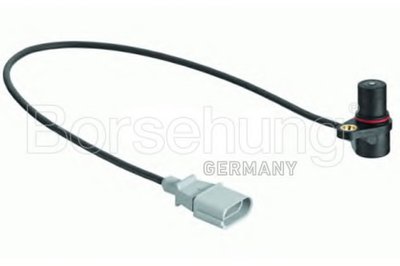 B13670 BORSEHUNG