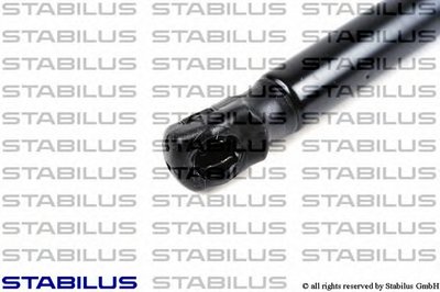 023713 STABILUS