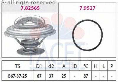 78256 FACET