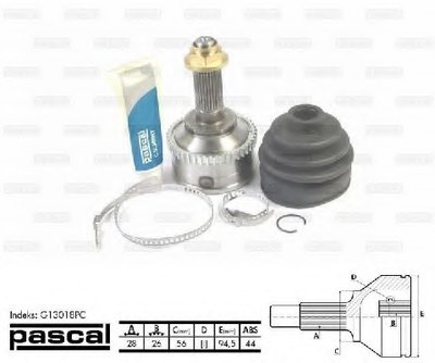 G13018PC PASCAL