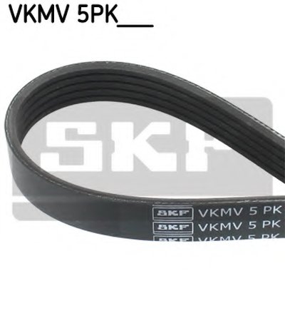 VKMV5PK1135 SKF