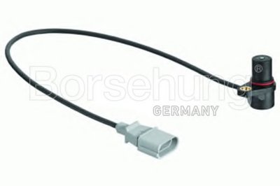 B13671 BORSEHUNG