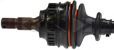 21683 SPIDAN