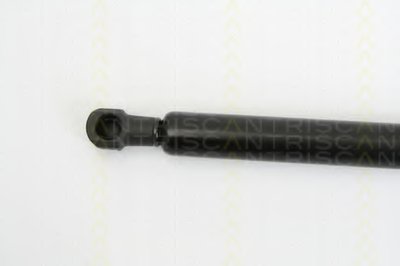 871025234 Triscan