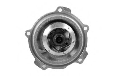 P542 HEPU
