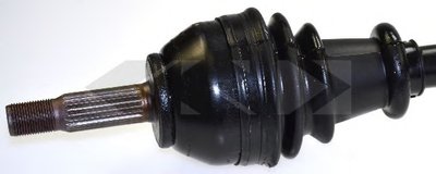 21566 SPIDAN