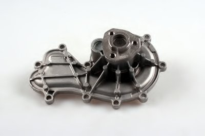 P667 HEPU