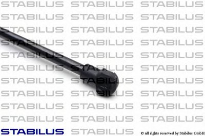 015489 STABILUS