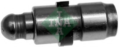 420019510 INA