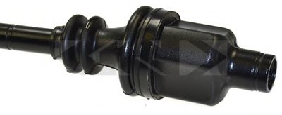 21566 SPIDAN