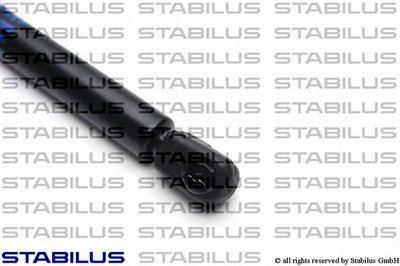 015489 STABILUS
