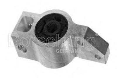 B11353 Borsehung