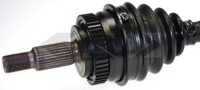 21568 SPIDAN