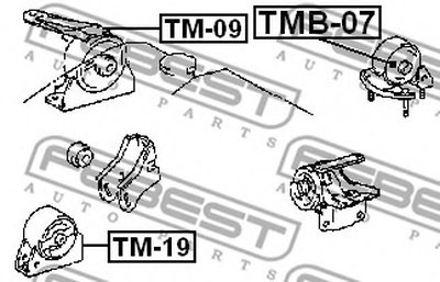 TMB07 FEBEST