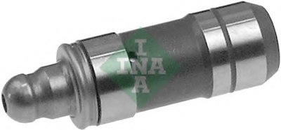 420019910 INA