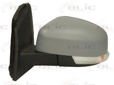 540203051361P BLIC