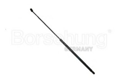 B14187 BORSEHUNG