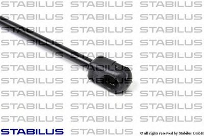 015491 STABILUS