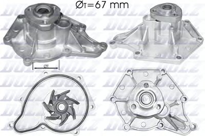 A213 DOLZ
