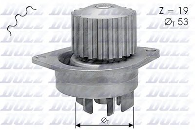 C113 DOLZ