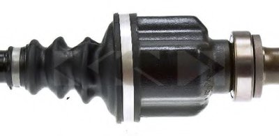 24873 SPIDAN