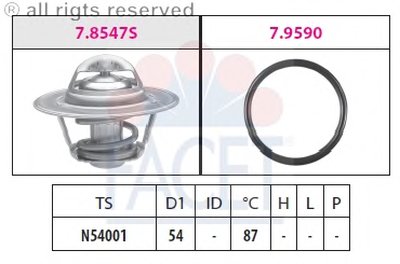78547 FACET