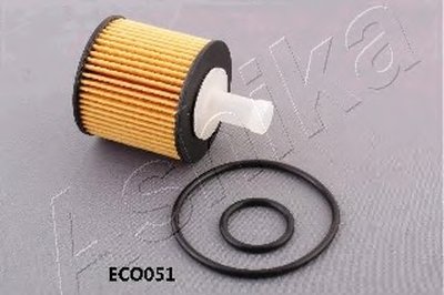 10ECO051 ASHIKA