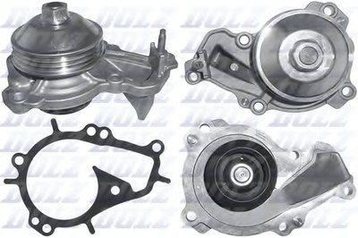 C152 DOLZ