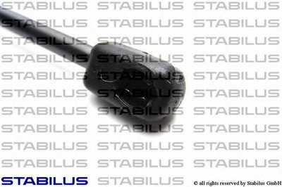 7656WY STABILUS
