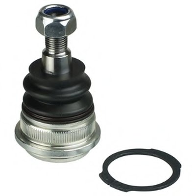 TC2664 DELPHI