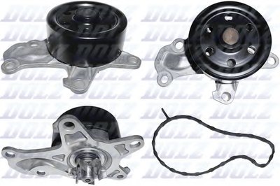 C153 DOLZ