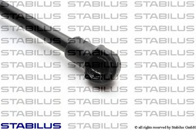 015495 STABILUS