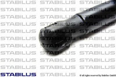 7656WY STABILUS