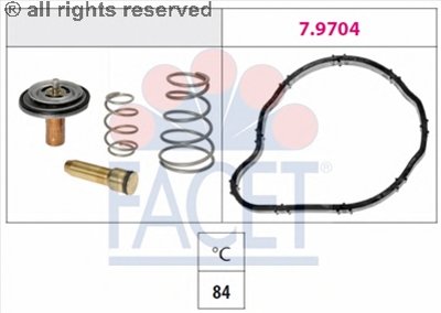 78841 FACET