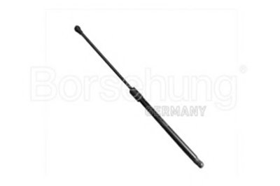 B14191 BORSEHUNG