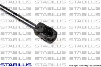 017510 STABILUS