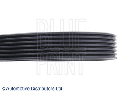 AD07R1872 BLUE PRINT
