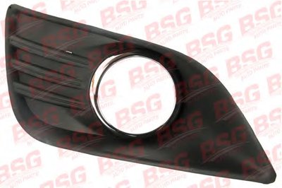 BSG30921007 BSG