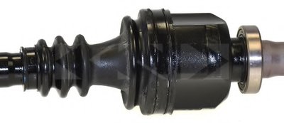 24441 SPIDAN