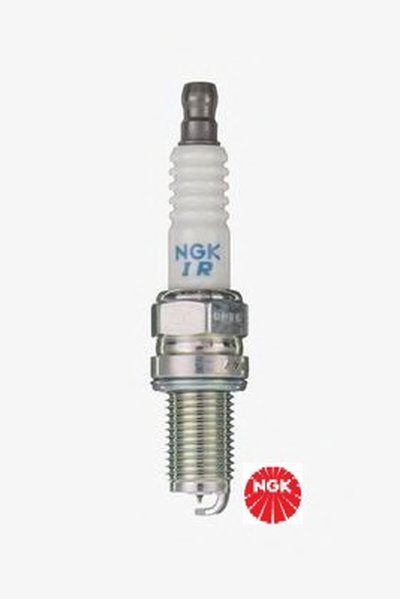 7795 NGK